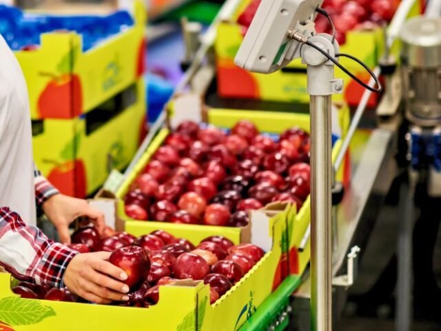What are the documents required to carry out imports of processed food items in India?
