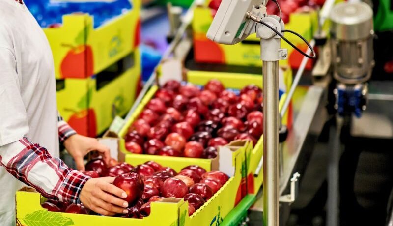 documents required to carry out imports of processed food itemas