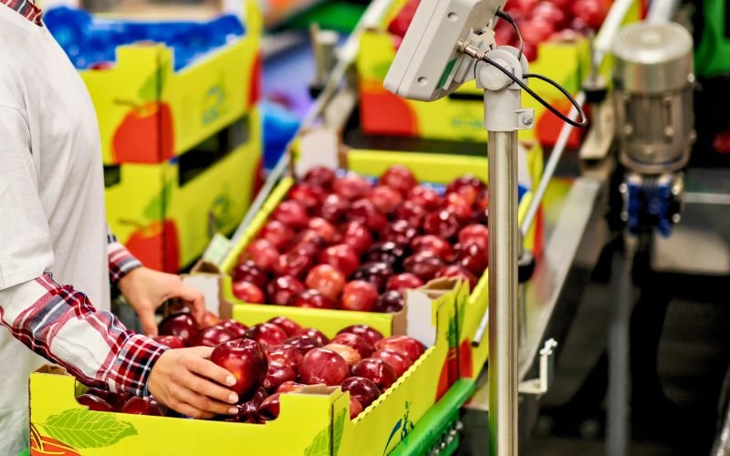 documents required to carry out imports of processed food itemas