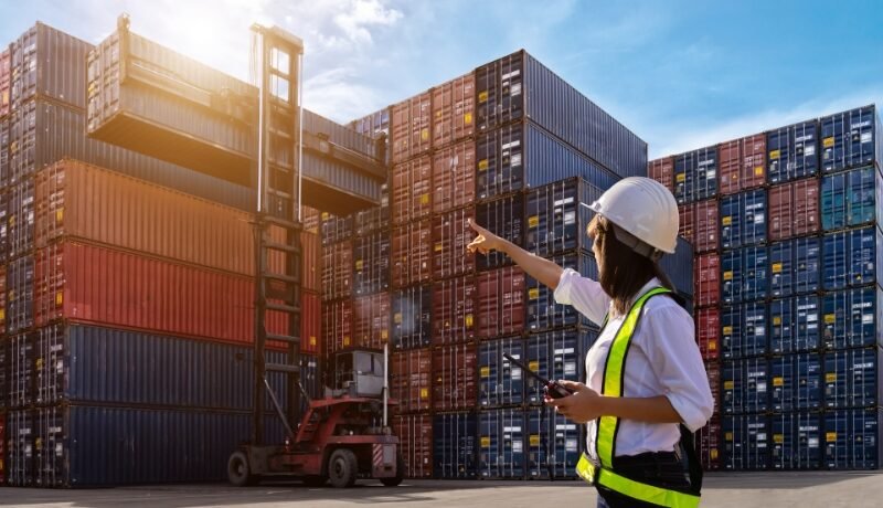 import custom clerence agent in india